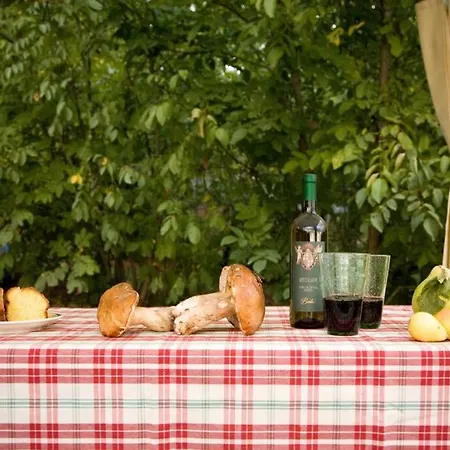 Liz Tuscany, Private Pool, Hot Tub, Fenced, Pets Allowed Villa *