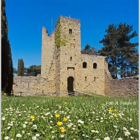 Liz Tuscany, Private Pool, Hot Tub, Fenced, Pets Allowed *
